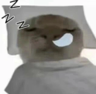bxbbbxx