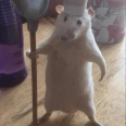牢大